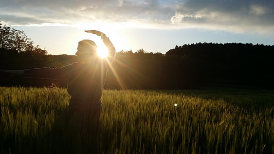 silhouette of man on grass field thumbnail