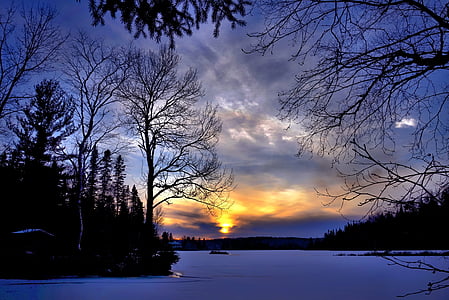 silhouette of trees and snow thumbnail