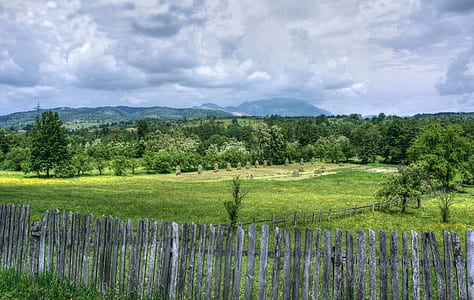 landscape photography of green fields during daytime thumbnail