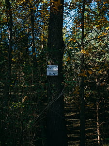 Keep Out signage on tree thumbnail