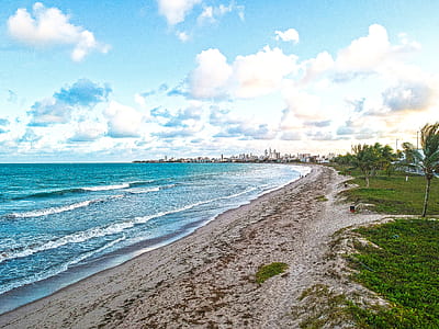 Seashore With Green Palm Trees thumbnail