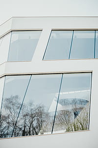 reflection of trees on glass windows thumbnail