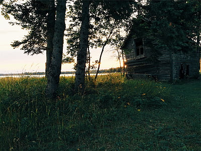 photo of brown house beside tree near body of water thumbnail