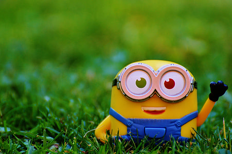 selective focus photography of Minion on grass thumbnail