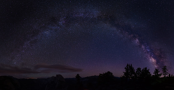 stars above trees panoramic photography thumbnail
