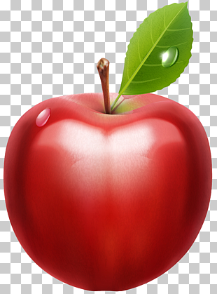 Apple , Apple , apple fruit illustration PNG clipart