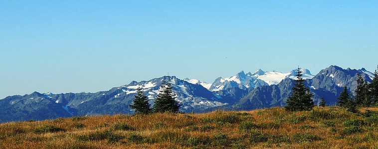 Scenery at Olympic National Park, Washington thumbnail