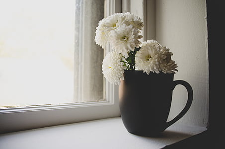 white petaled flowers on brown ceramic mug beside window thumbnail