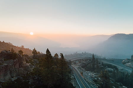 asphalt road beside trees thumbnail