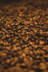 tilt shift photography of coffee bean lot thumbnail