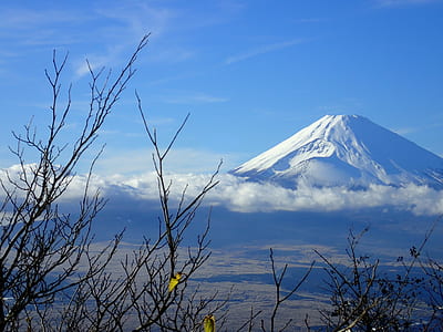 mountain and trees during day time thumbnail