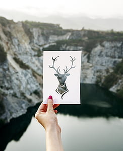 woman holding deer-printed paper in front mountains during daytime thumbnail