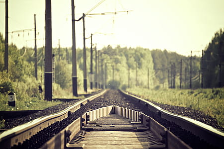 narrow railroad thumbnail