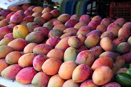 red-and-yellow mangoes thumbnail