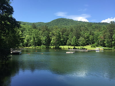 body of water and treess thumbnail