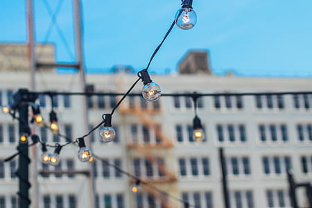 shallow depth of field photo of string lights thumbnail