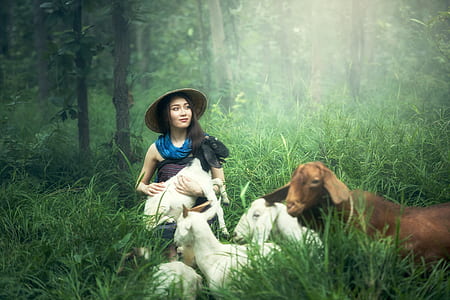 photo of a woman holding white goat in the middle of forest thumbnail