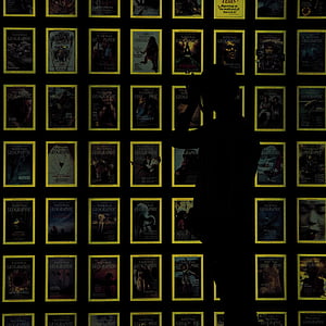 silhoutte photography of woman standing thumbnail