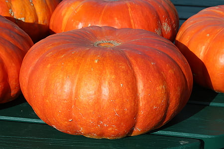 ripe pumpkin thumbnail