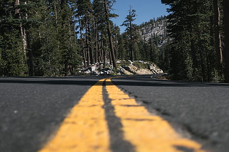 road in forest during daytime thumbnail