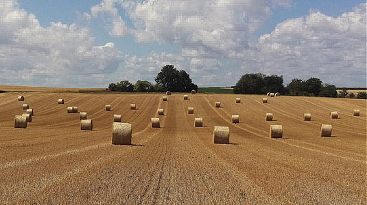 brown haystacks on grass field thumbnail
