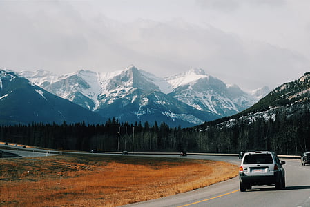 cars passing on road through trees thumbnail