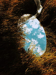 oval mirror on green grass field at daytime thumbnail