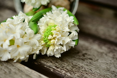 macro shot photography of white-and-green flowers thumbnail
