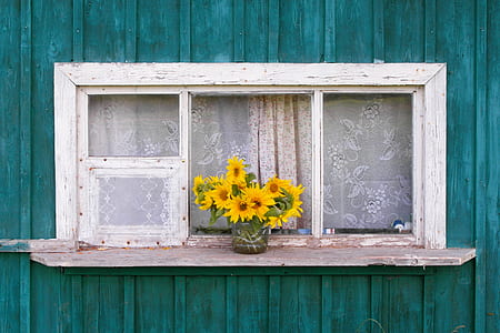 photo of yellow sunflowers with vase on shelf thumbnail