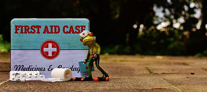 first aid case and red-eye tree frog figurine thumbnail