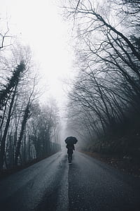 person with umbrella on the street thumbnail
