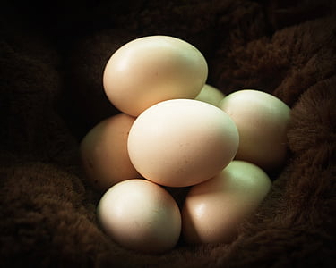 selective focus of beige eggs on brown textile thumbnail
