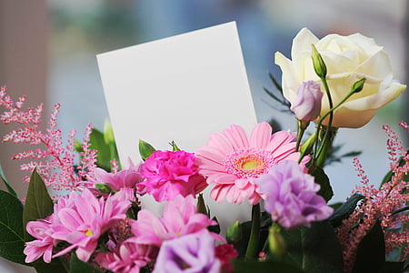 selective focus photography of pink daisies, pink carnation flowers, purple and white rose flowers bouquet thumbnail