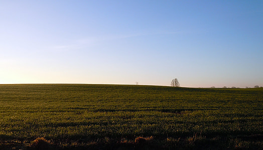 Landscape, Partly Cloudy thumbnail