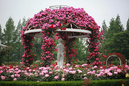 white metal gazebo covered white flowers near trees at daytime thumbnail