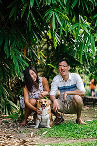 Adult Tan and White Pembroke Welsh Corgi Sitting Between Couple thumbnail