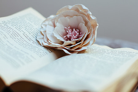 Open book and flower thumbnail