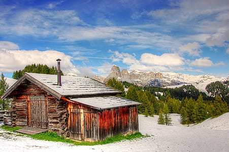 brown wooden house near pine trees thumbnail