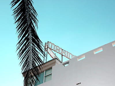 low angle photography of concrete building under blue sky thumbnail