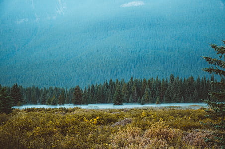 landmark photography of trees beside river across mountain thumbnail