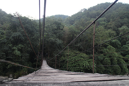 brown wooden hanging bridge near trees thumbnail