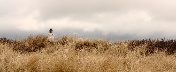 gray cloud sky and brown grass field thumbnail