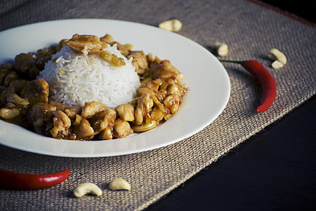 cooked viand with rice on plate thumbnail