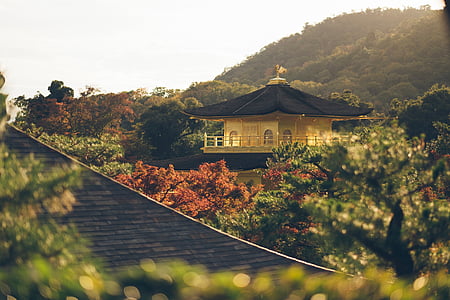 black and brown concrete house surrounded by plants and trees near mountain at daytime thumbnail