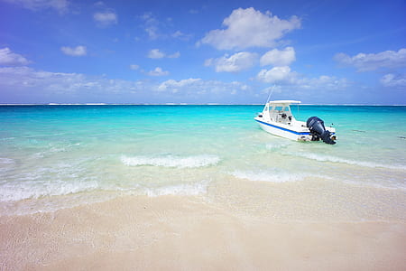 white motorized boat near seashore thumbnail