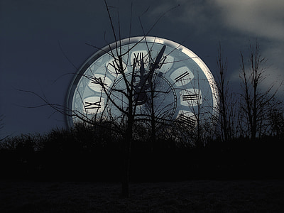 leafless trees against analog clock illustration thumbnail