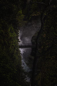 photograph of footbridge over river thumbnail