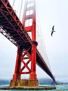 worm's-eye view of Golden Gate Bridge thumbnail