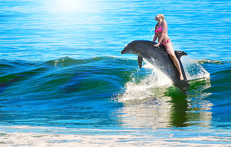 woman riding on dolphin thumbnail
