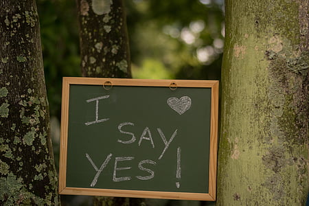 black chalkboard with i say yes text thumbnail